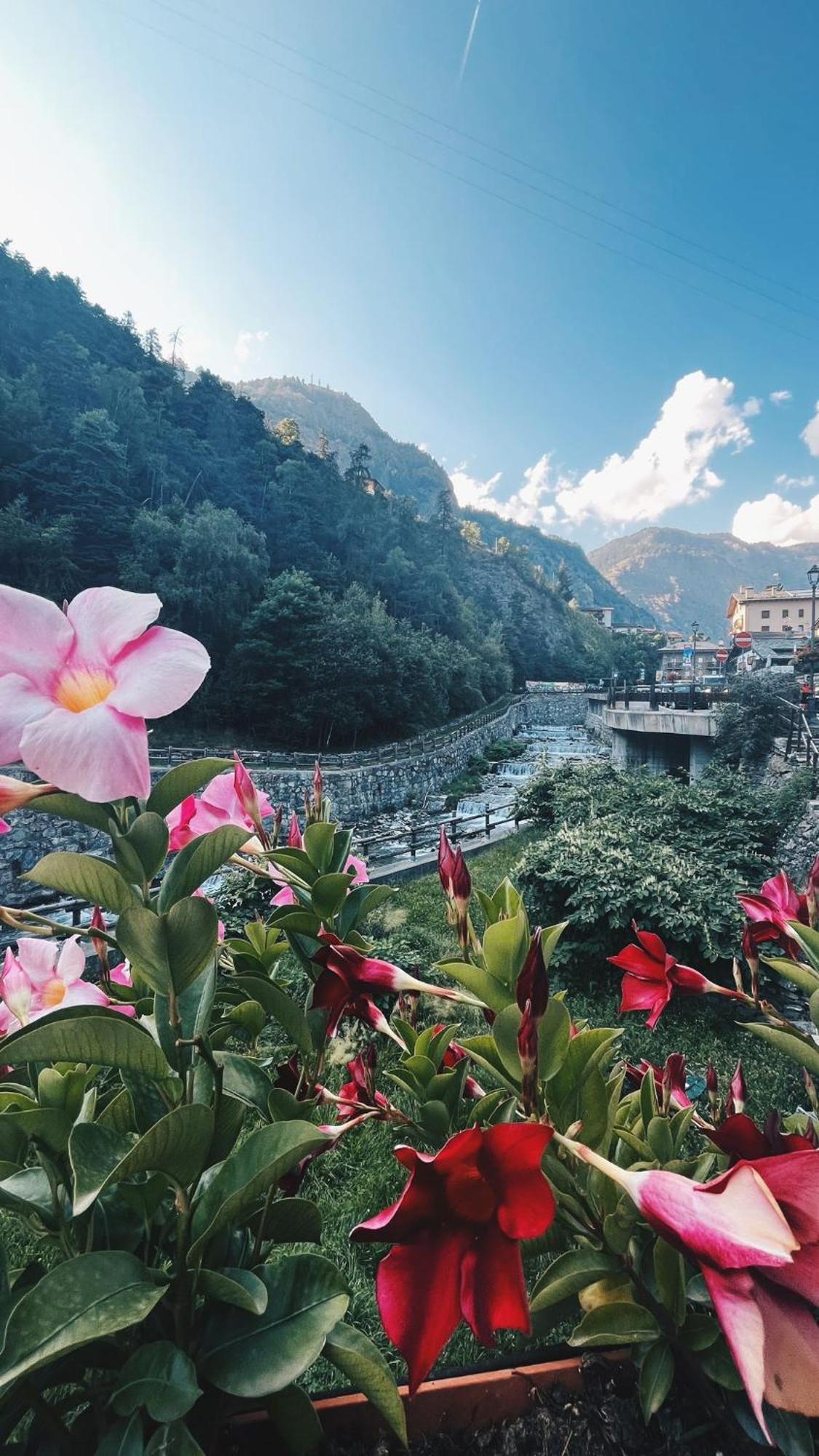Locanda Monte Cervino Antey-Saint-André Exteriör bild